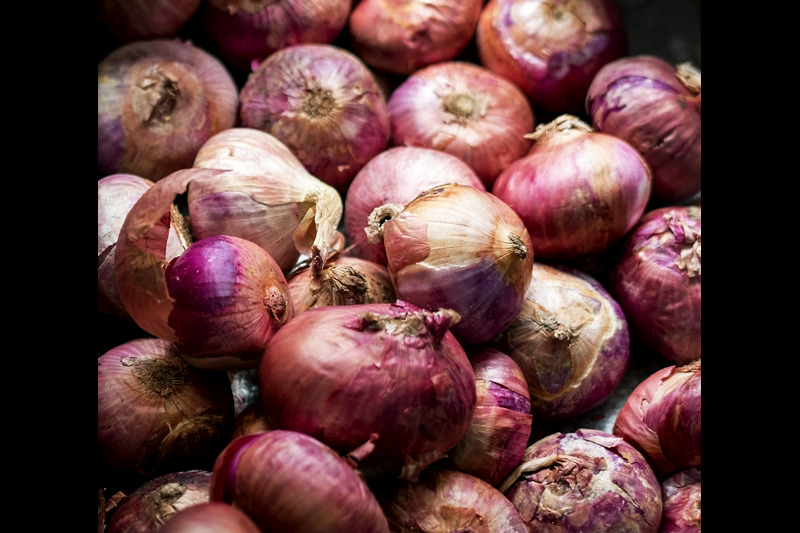 onion peel fertilizer for healthy growth of plants